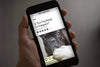 Hand holding telephone with NY Times article showing photo of French Bulldog