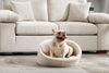Best Beds for French Bulldogs: A Vet Guide - French Bulldog Store
