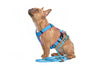 French Bulldog Harness Types: A Guide for Pooch Parents - French Bulldog Store