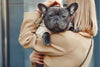 Stay Cozy in Style: The Ultimate Guide to French Bulldog Hoodies - French Bulldog Store