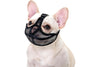 Ultimate Guide To French Bulldog Muzzles - French Bulldog Store