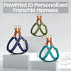 PawPrint ID Personalized Frenchie Harness