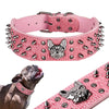Pink Spiked Frenchie Leather Collar