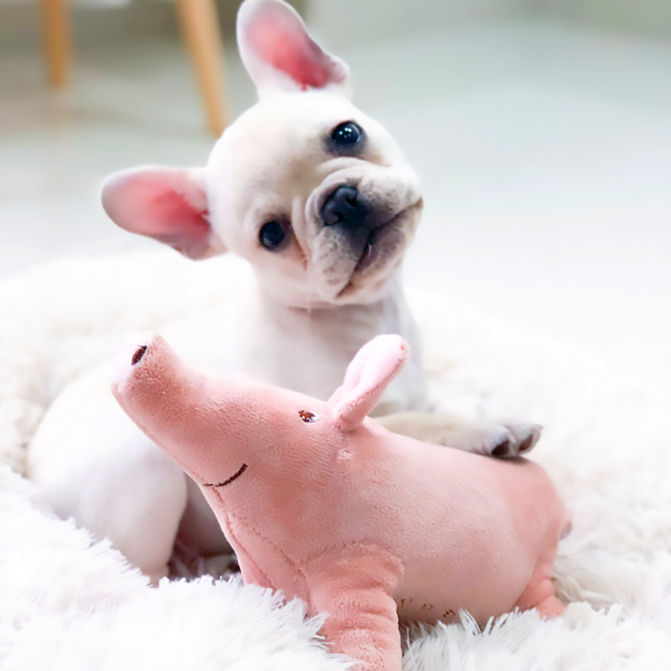 Plush Pig French Bulldog Sleeping Toy