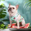 Watermelon French Bulldog Cooling Vest - French Bulldog Store