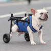Wheelchair for IVDD French Bulldog Survivors