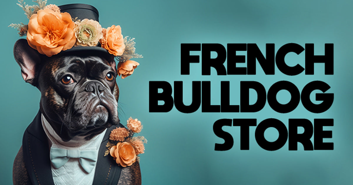 French Bulldog Best Harness – French Bulldog Store