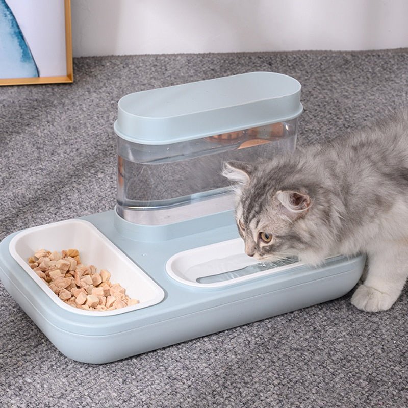 Automatic Feeder & Water Bowl - French Bulldog Store