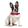Bow Tie Plaid Frenchie Collar - French Bulldog Store