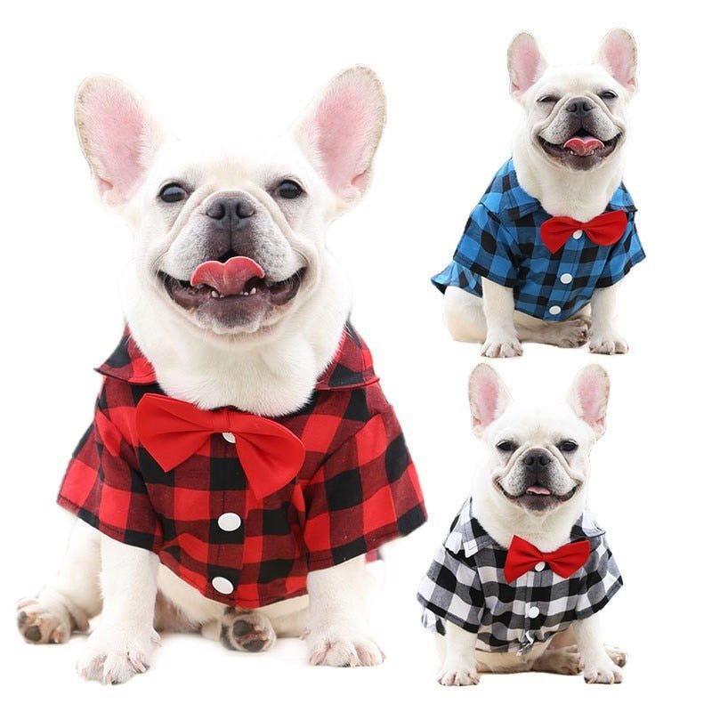 Bowtie Plaid French Bulldog Shirt - French Bulldog Store