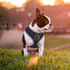 Load image into Gallery viewer, Breathable French Bulldog Harness - French Bulldog Store