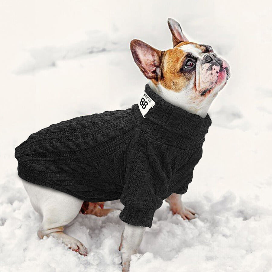 Cable Turtleneck French Bulldog Sweaters - French Bulldog Store