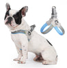 Load image into Gallery viewer, Chest Pressure Frenchie Walk Training Harness - French Bulldog Store