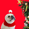 Christmas Pom Pom French Bulldog Beanie - French Bulldog Store