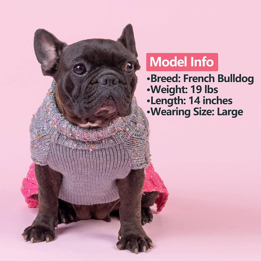Color Block Turtleneck Frenchie Sweater - French Bulldog Store