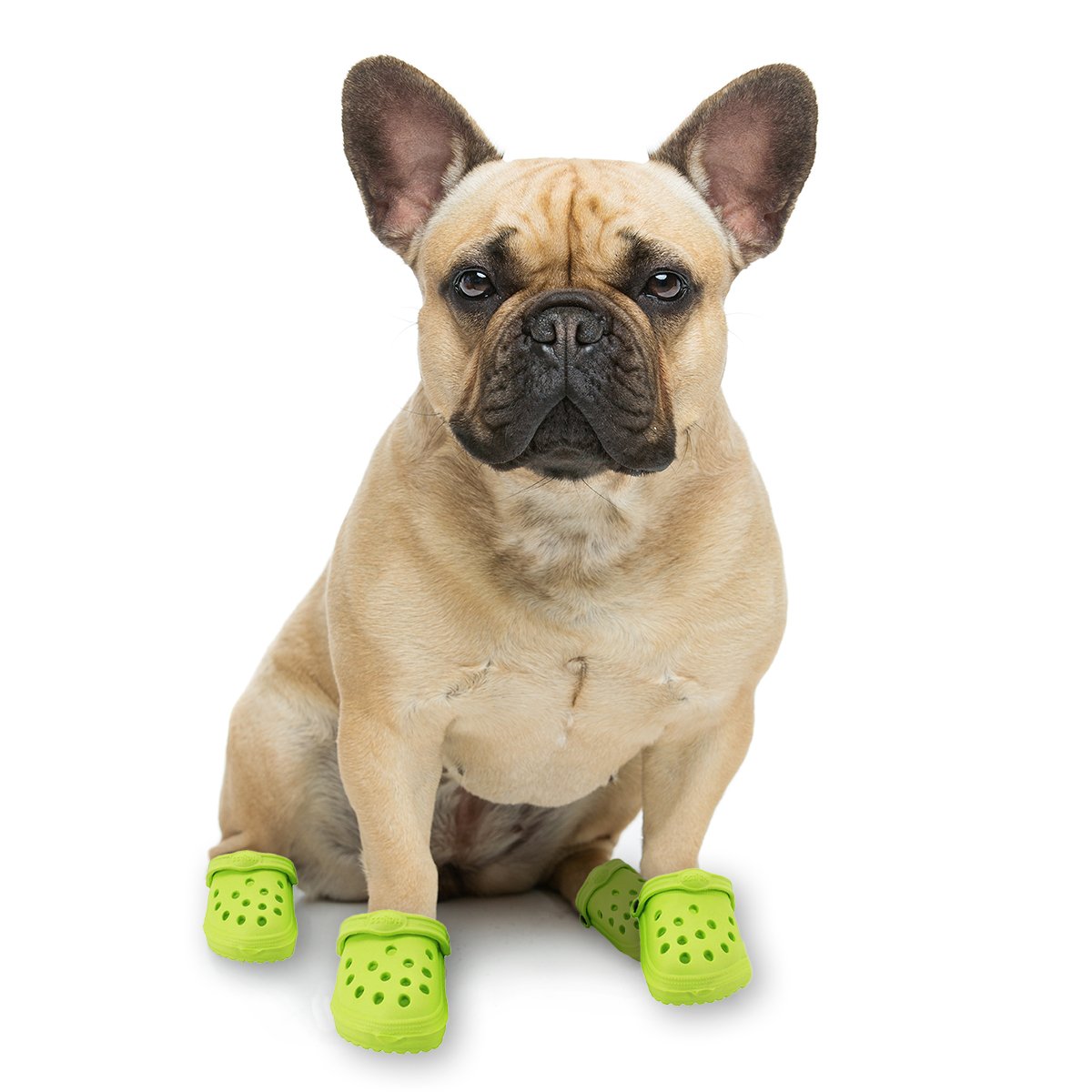Croc' Frenchie Sandals - French Bulldog Store