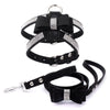 Load image into Gallery viewer, Dazzling French Bulldog Harness &amp; Leash - French Bulldog Store