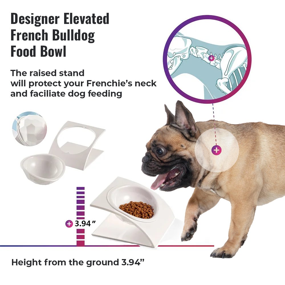 Designer Elevated French Bulldog Food Bowl - French Bulldog Store