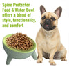 Designer Spine Protector Food Bowl - French Bulldog Store