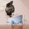 Designer Spine Protector Food Bowl - French Bulldog Store