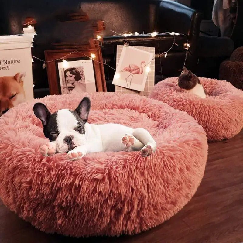 Donut Cuddler Frenchie Bed - French Bulldog Store
