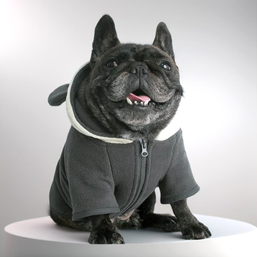 Double-Layer Zip Frenchie Hoodie - French Bulldog Store