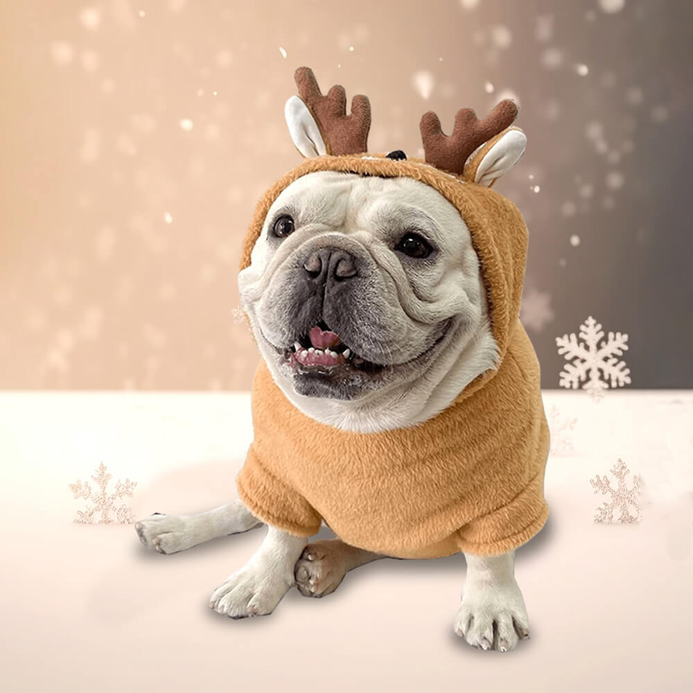 Elk French Bulldog Christmas Outfit - French Bulldog Store