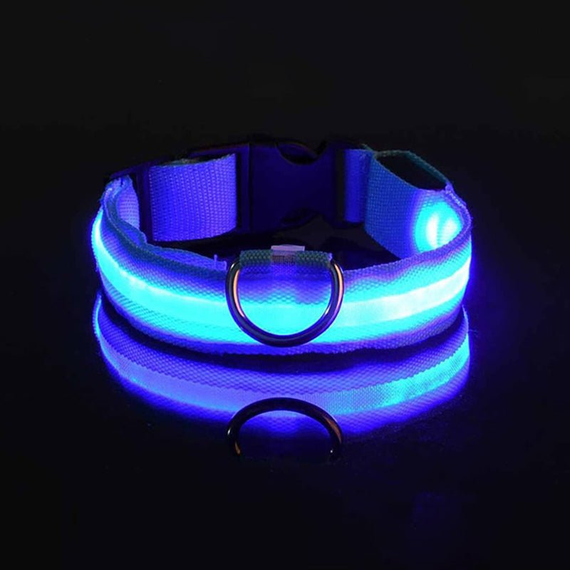 Fluorescent USB Charging Frenchie LED Safety Collar - French Bulldog Store
