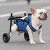 French Bulldog Adjustable Wheelchair - French Bulldog Store