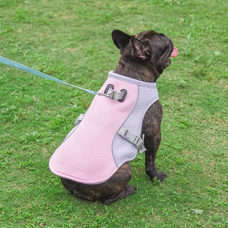 French Bulldog Cooling Vest Harness - French Bulldog Store