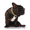 French Bulldog Cuban Link Collar - French Bulldog Store