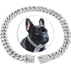 French Bulldog Cuban Link Collar - French Bulldog Store