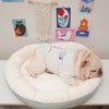French Bulldog Cushion Padded Bed - French Bulldog Store