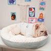 French Bulldog Cushion Padded Bed - French Bulldog Store
