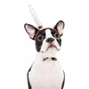 Load image into Gallery viewer, French Bulldog Halloween Headgear Costume - French Bulldog Store