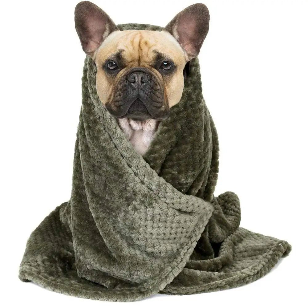 French Bulldog "Must Have" Blanket - French Bulldog Store