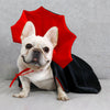 Load image into Gallery viewer, French Bulldog Vampire Bat Cloak - French Bulldog Store