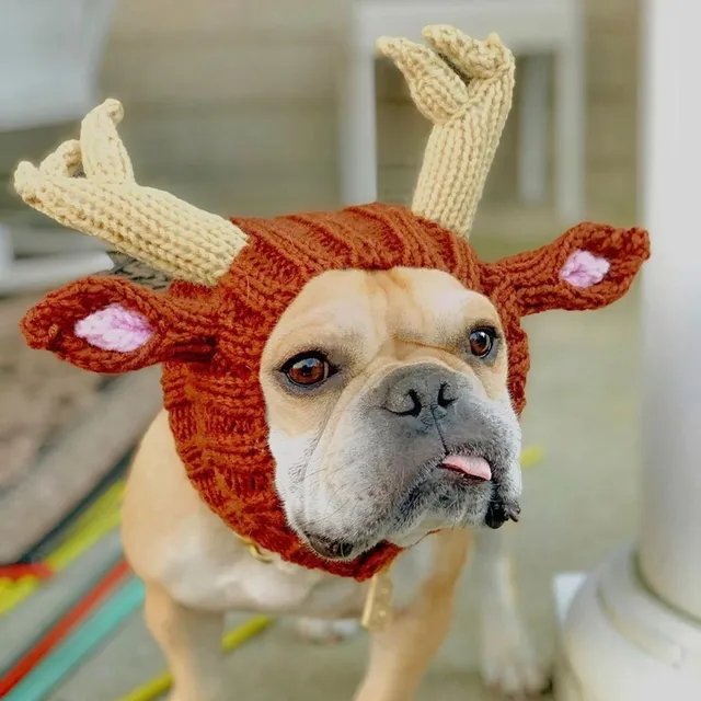 French Bulldog Winter Christmas Knitted Caps - French Bulldog Store