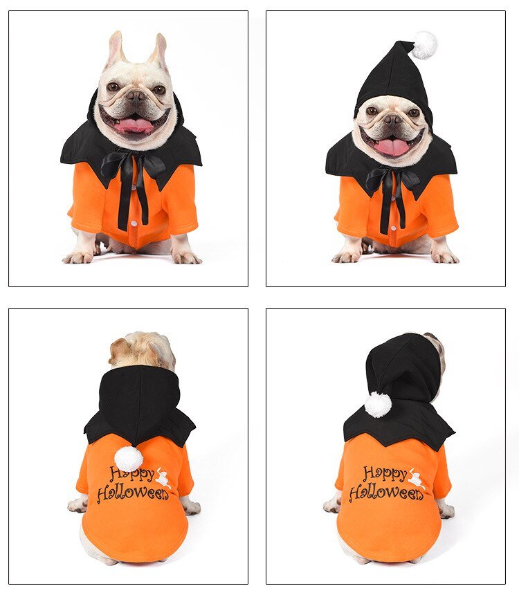 French Bulldog Witches Halloween Costume - French Bulldog Store