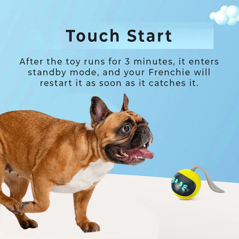 Interactive Inteligent Escape Route Smart French Bulldog Ball - French Bulldog Store