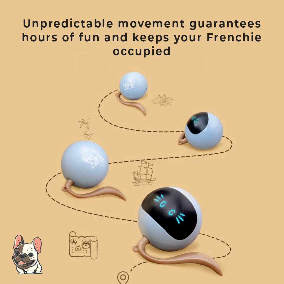 Interactive Inteligent Escape Route Smart French Bulldog Ball - French Bulldog Store