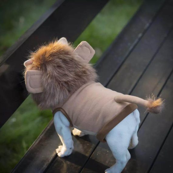 Lion French Bulldog Costume - French Bulldog Store