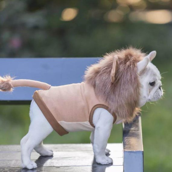 Lion French Bulldog Costume - French Bulldog Store