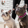Luxury French Bulldog Rhinestone Collar - French Bulldog Store