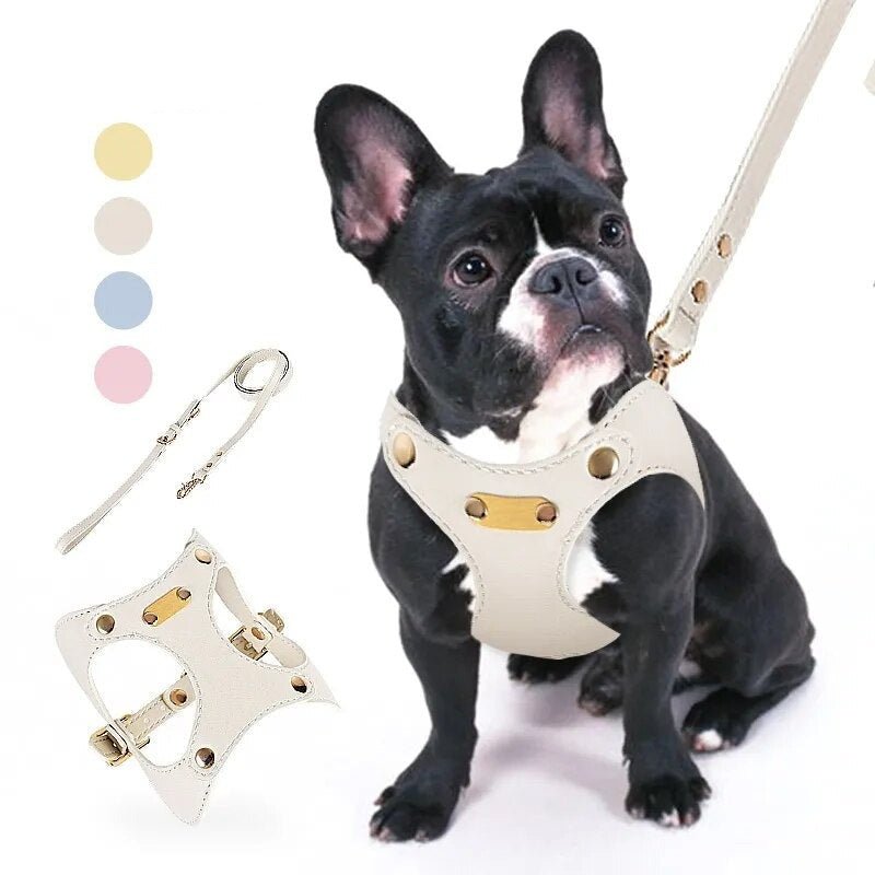 Luxury Leather French Bulldog Harness and Leash Set - French Bulldog Store