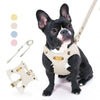 Load image into Gallery viewer, Luxury Leather French Bulldog Harness and Leash Set - French Bulldog Store