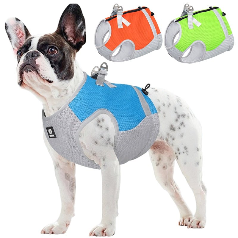 Mesh Cooling Frenchie Harness - French Bulldog Store