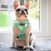 Load image into Gallery viewer, Mesh Summer French Bulldog Harness - French Bulldog Store