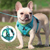 Load image into Gallery viewer, No Pull French Bulldog Harness Set - French Bulldog Store