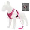 Load image into Gallery viewer, No Pull French Bulldog Harness Set - French Bulldog Store